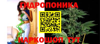 спайс Бердск