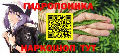 шишки Белорецк