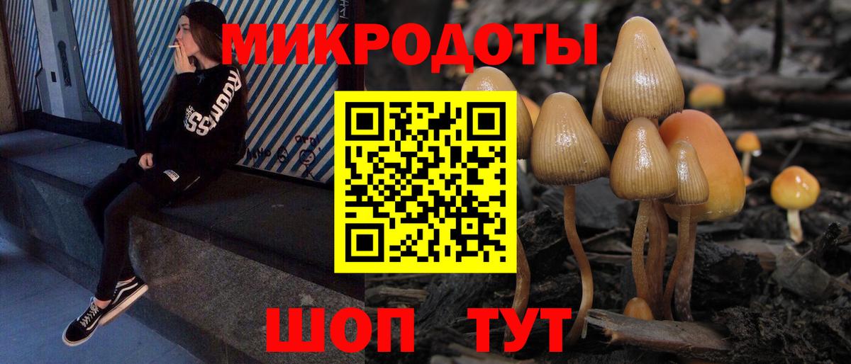 Гурьевск  Псилоцибиновые грибы MAGIC MUSHROOMS  Псилоцибиновые грибы Magic Shrooms  Вход с VPN 